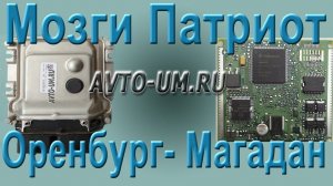 Мозги Патриот Оренбург- Магадан