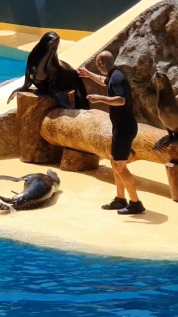 8 September 2023 смотреть онлайн