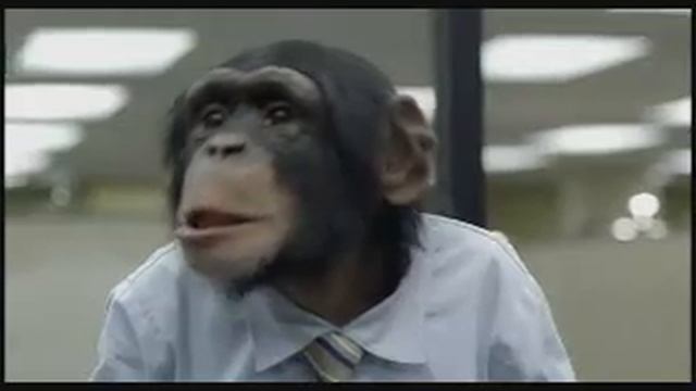 Monkey Office