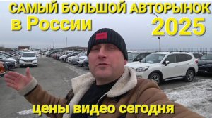 АВТОРЫНОК ВЛАДИВОСТОК, ЗЕЛЁНЫЙ УГОЛ 2025, ЦЕНЫ ВИДЕО СЕГОДНЯ