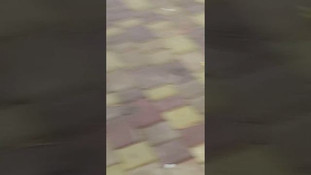 в тайгане часть 14 смотреть онлайн