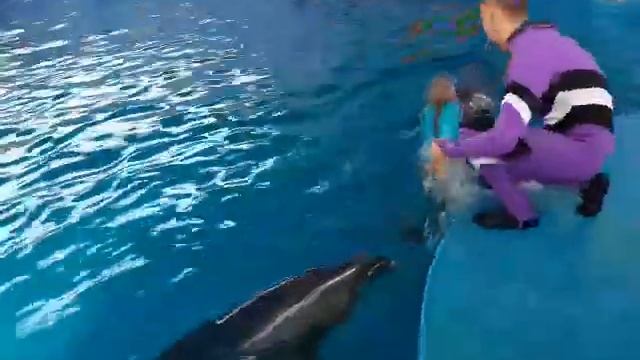 #Катаюсь'с дельфином смотреть онлайн