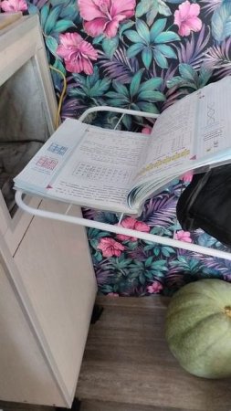 Майнер книгу матем читает😂