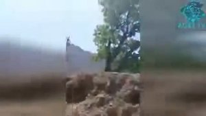 29.04.2021   ЧАНГИ ТОЧИК ВА КИРГИЗ