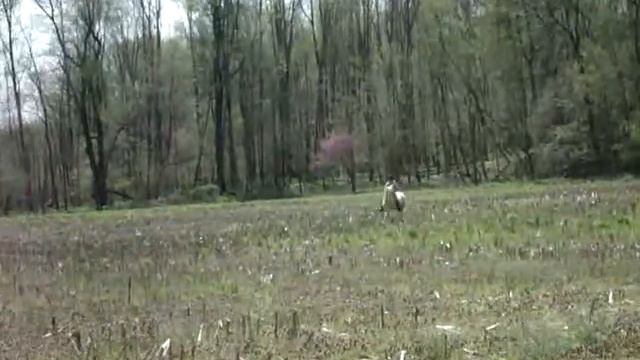 Moony - No Reins смотреть онлайн