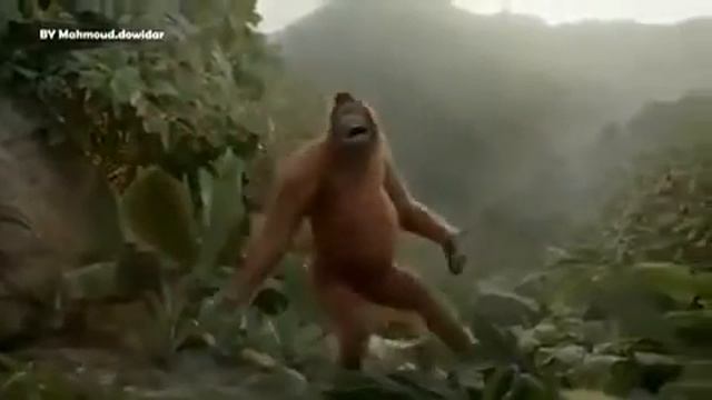 Танцующая обезьяна смотреть онлайн