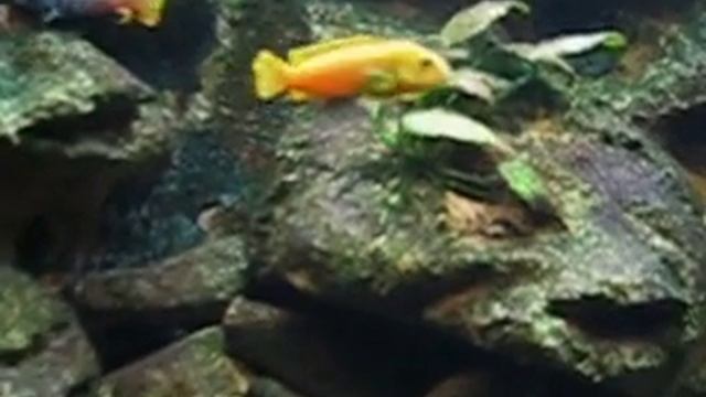 Ydeljo 2007 смотреть онлайн