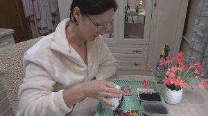 Начало февраля. Посеяла петунии для майского цветения... Семя не прорастет, если не умрет..