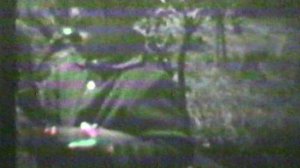 ГРИБЫ, ЗАСЫПУШКА НА ЦИВИЛЬСКОЙю КЛУБНИКА, 1ЫЙ КЛАСС. ЗАРЯДКА. СЕМЕЙНЫЙ АРХИВ СЕРГЕЕВЫХ ЧУВАШИЯ