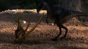 Ornitholestes Tribute