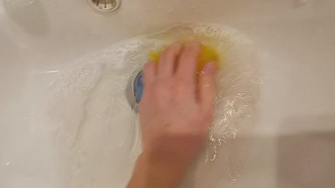 Как лучше мыть тапа лапки!