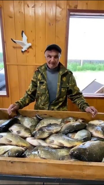 Наш гость впервые на РК «Чайка» делится впечатлениями о рыбалке. смотреть онлайн