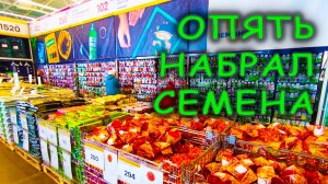 Набрал много семян 🥒 в Леруа Мерлен к новому сезону 🌱 Обзор семян в магазине Лемана Про 🌼