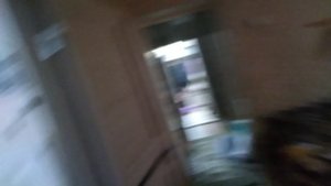 мои животные часть2