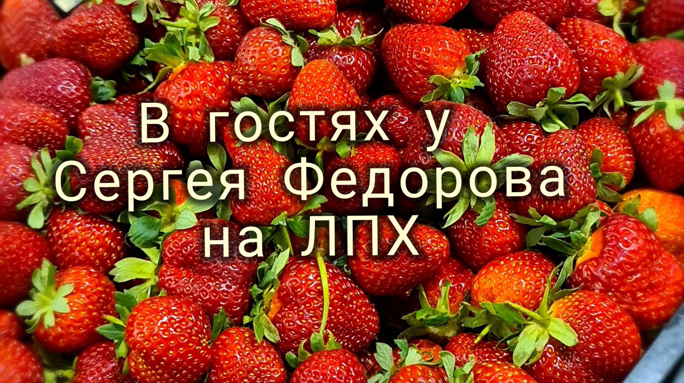В гостях у Сергея ЛПХ Фёдоров смотреть онлайн