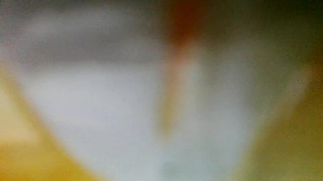 Заячий след(В лесу недолго до беды,но заяц — не простак.Умей запутывать следы —вот так(наброски)
