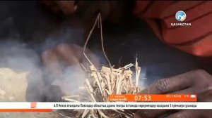 Үйлену тойына байланысты салт дәстүрлер