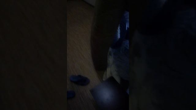 обустраиватю домик