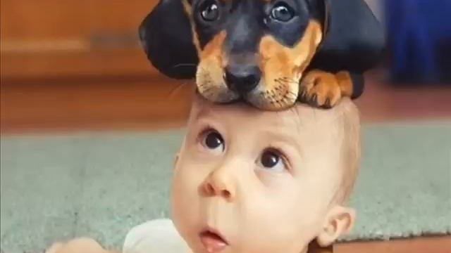 Vanessa Parrinello beim DSDS Casting 2015 смотреть онлайн