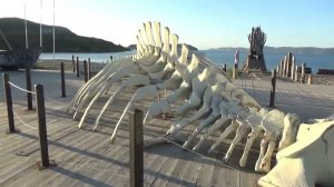 Путешествие по Кольскому полуострову. Териберка.