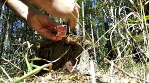 Зажечь костер одной спичкой.С помощью травяного трута.Практика для себя.