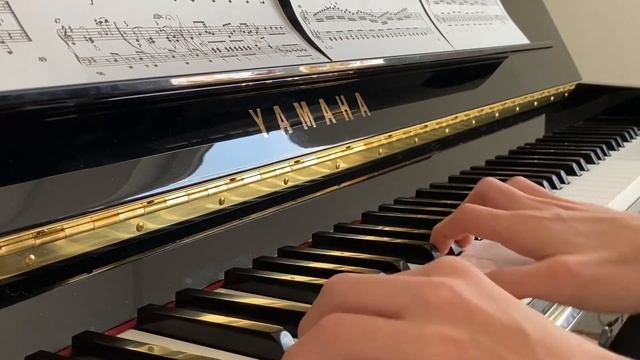 Leon Priewe spielt: Joseph Haydn: Sonate G-Dur Hob XVII:40, 3.Satz, Presto смотреть онлайн