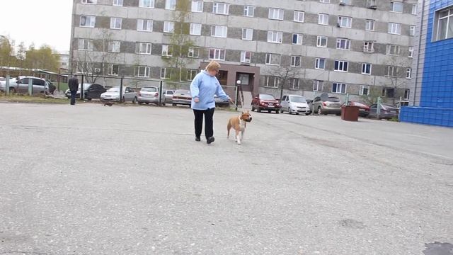 TALK TO YOUR HEART DE M'A'M (Анжел) смотреть онлайн