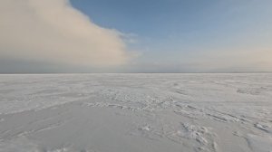 Рябалка на Аргазях. 17-я курья, 07 февраля 2025.