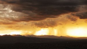 Transient - 4K, UHD, 1000FPS