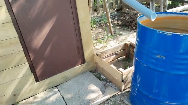 Что нового в огороде.