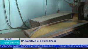 Прибыльный бизнес на просе