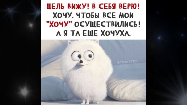 Немного ПозитивЧика. Добавим хорошего настроения в преддверии Нового Года