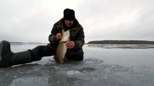 2 Часть .  Битва на льду .Лупит щука на жерлицы .
