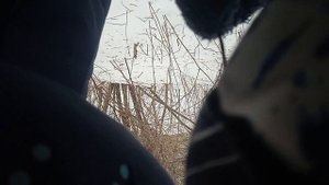 жарим доширак