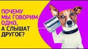Урок 21.2 Почему Вас не слышат или Матрица слушанья