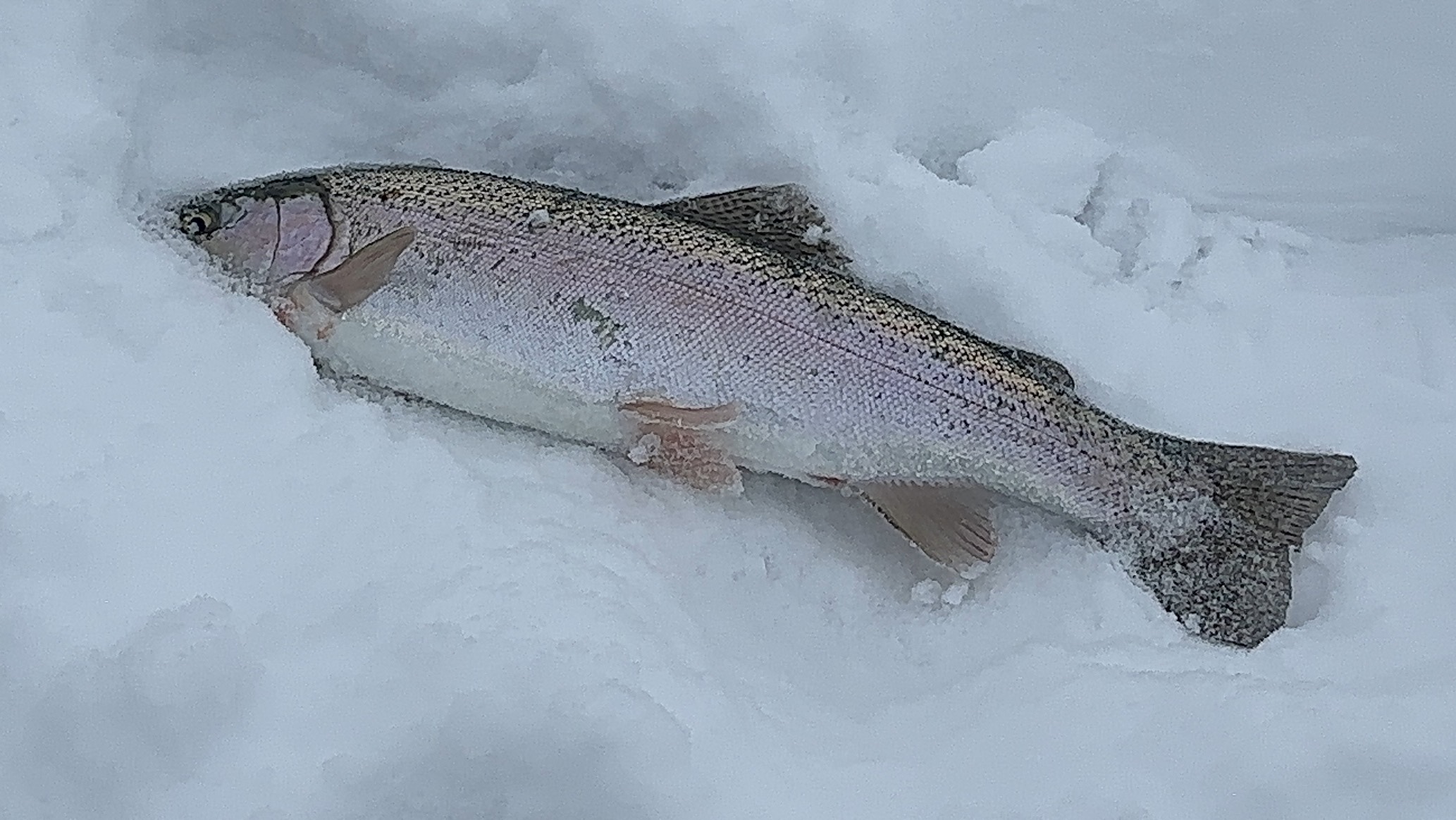 Сегодня для вас снимали кое-что интересное. На днях выложу полное видео. смотреть онлайн