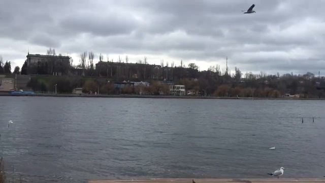 Трудный ребенок и утки. смотреть онлайн