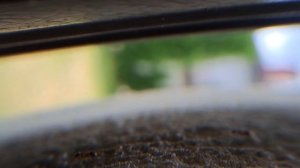 Мир глазами муравья, (Макросъёмка)