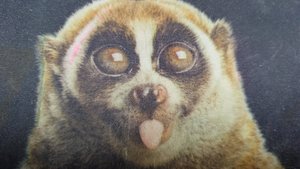 Обзор находок с мусорки .Часть 3