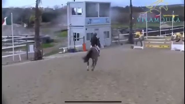 8yo Inschalla C Z CSI*** 1.35 Vilamoura смотреть онлайн