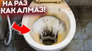 Унитаз как Алмаз! И никакого запаха! Испытание Геля для Очистки Унитаза От Мочевого Камня!