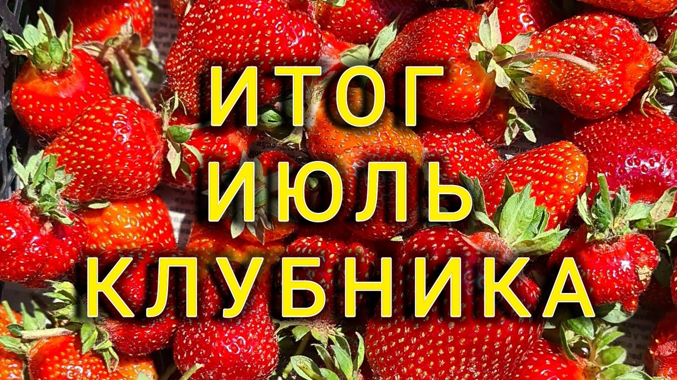 Итог на середину сезона 2024г. Клубника. смотреть онлайн