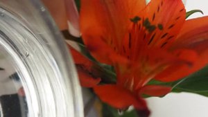 2.3. "ПРАКТИЧЕСКОЕ ЗАНЯТИЕ" способы мышления