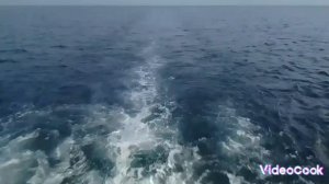 Спокойная музыка для сна на фоне чёрного моря.