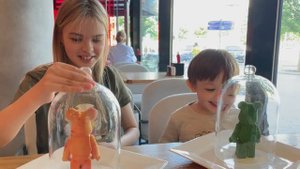 ВЛОГ. КАНИКУЛЫ. ИЗ МОСКВЫ в ПИТЕР