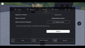 robloxapp-20240621-1306099
