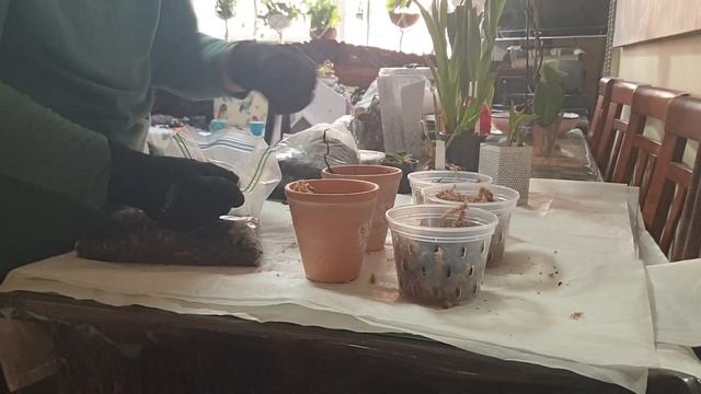 Fibre Crafting Knitting and Quilting #adayinmylife #vlogtober 23 Oct 2023