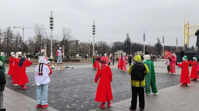 VID_20250208_130802