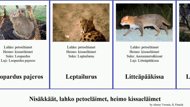 Nisäkkäät, lahko petoeläimet, heimo kissaeläimet mammal toscana leopardi Leopardus Panthera kissat смотреть онлайн