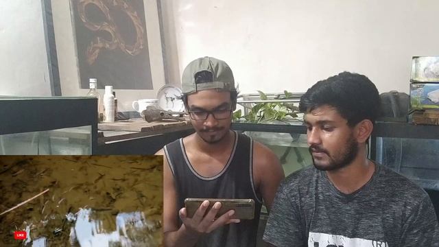 @SaniruMudalige IT'S TIME TO STOP! | INVASIVE SPECIES | Special Episode смотреть онлайн